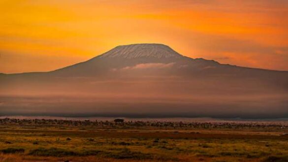 Shivashankar Hebbale (India) – Mount Kilimanjaro