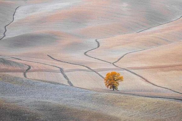Simon Kovacic (Slovenia) – Tuscany 63